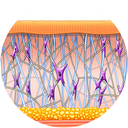 Exilis after results