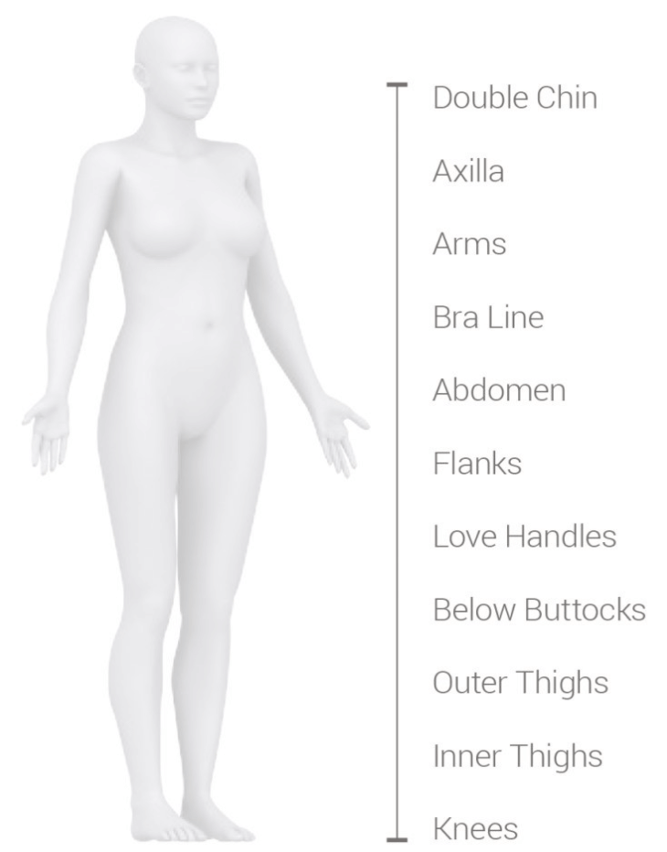 fat freezing areas